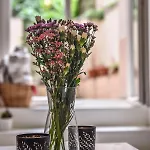 Quiet In The Center With Own Terrace Praga